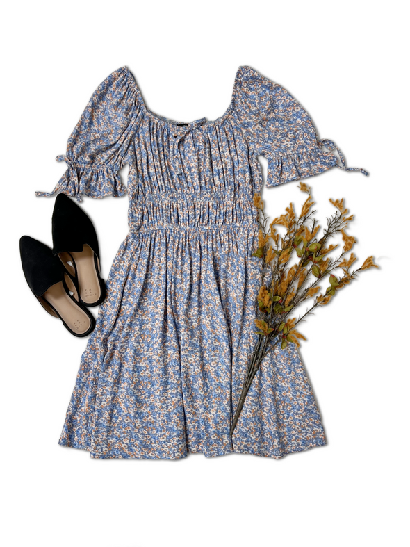 Country Fair - Blue Dress