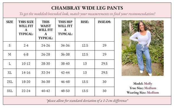 PREORDER: Cora Chambray Wide Leg Pants in Two Colors