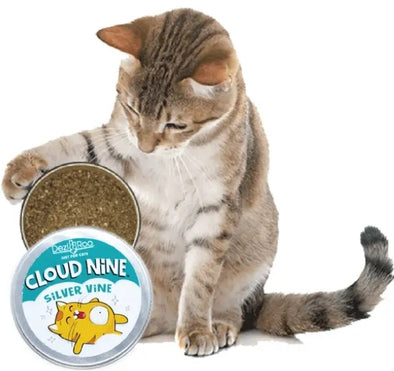 Cloud Nine Silver Vine - Large 30 gm