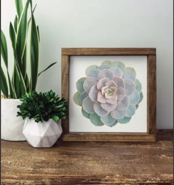 8x8 Wood Framed Sign-Succulent Foliage and Decor
